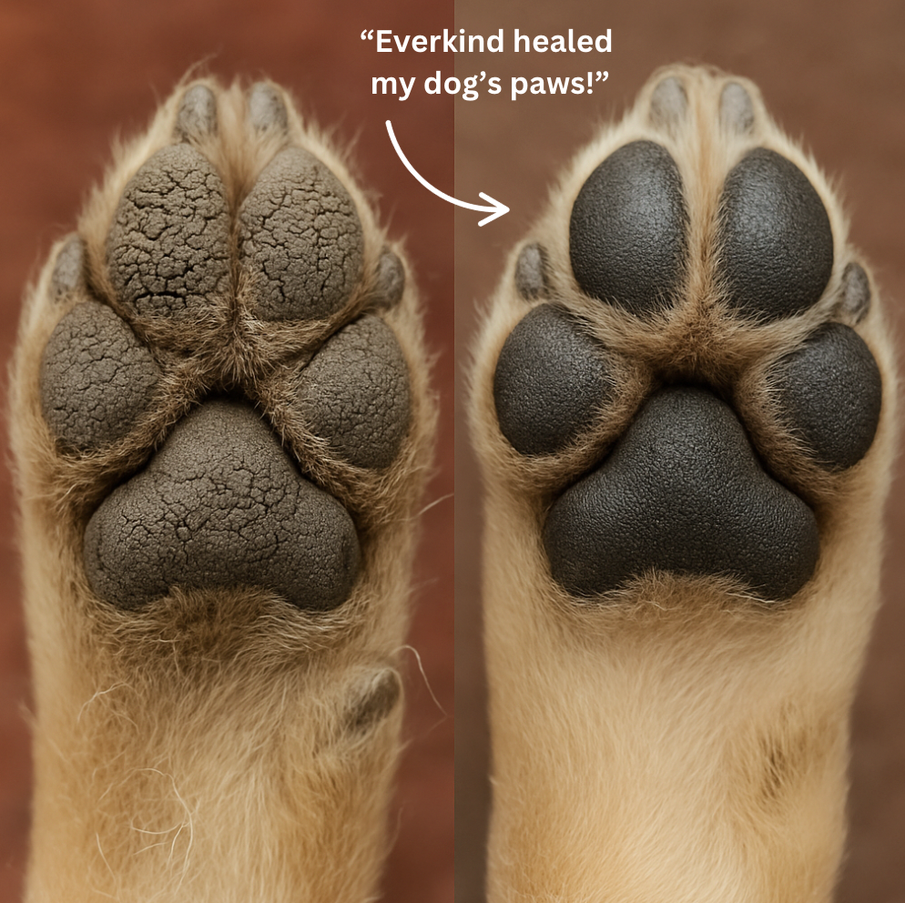 EverKind Paw Balm